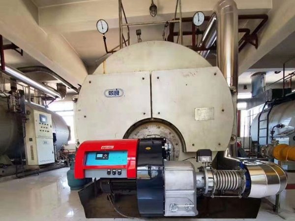 派諾尼奧低氮燃燒器